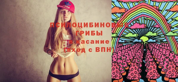 гашик Магас