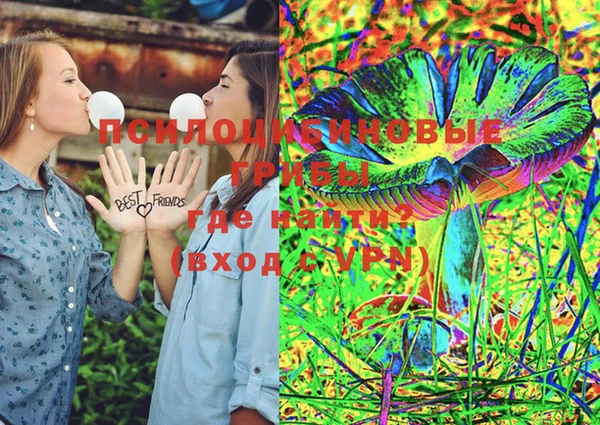 не бодяженный Магадан