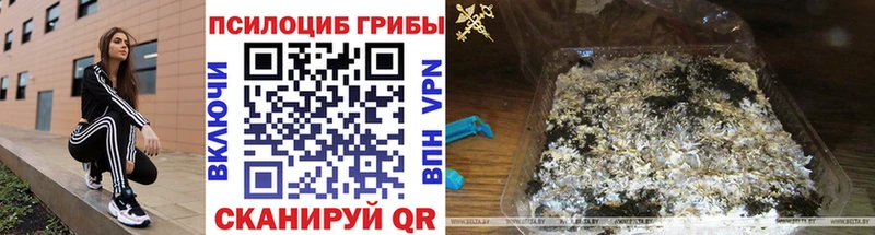 Купить закладки  Пласт  Галлюциногенные грибы мухоморы 